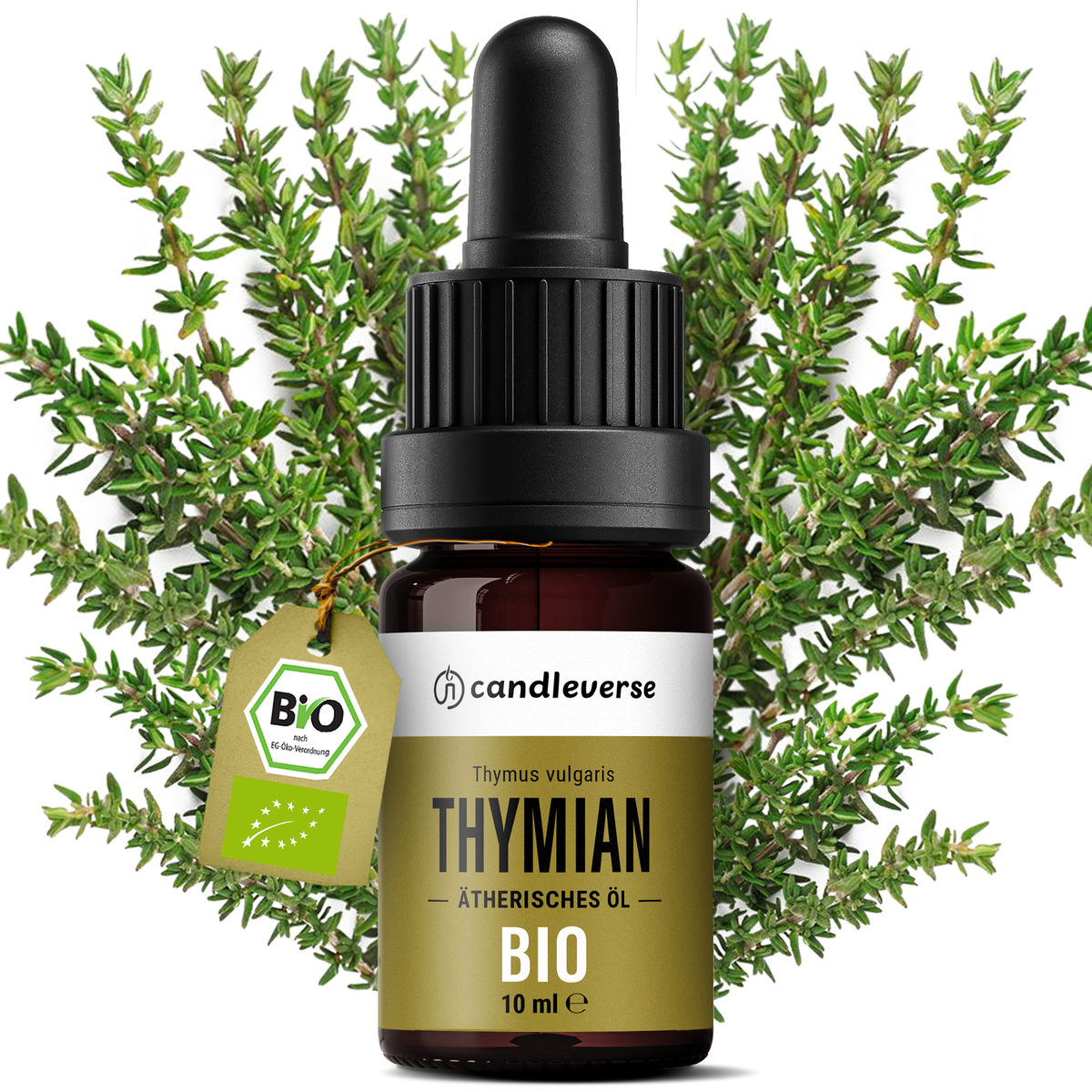 Lavender Essential Oil
