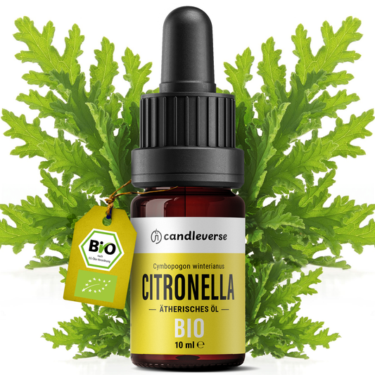 Bio Citronella Ätherisches Öl